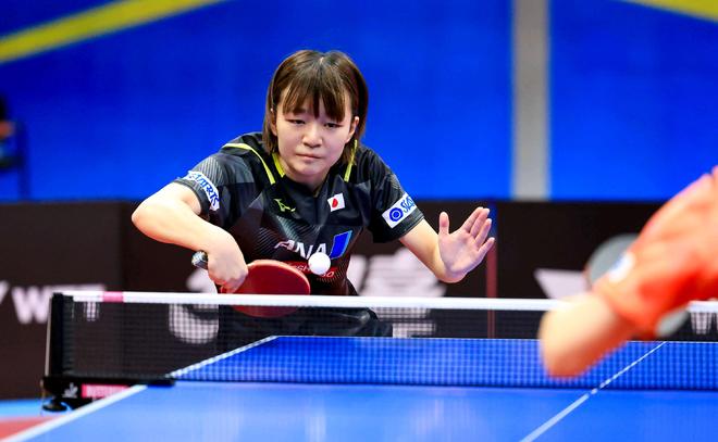 节回归同频 节回归同频